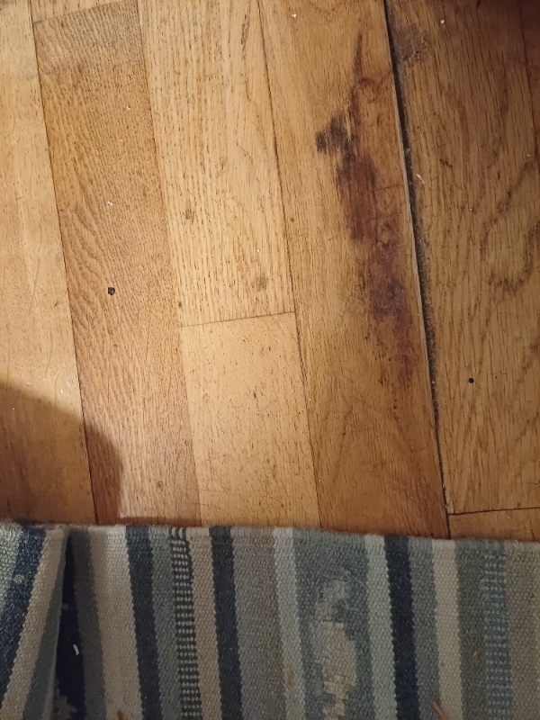 Reparation af trægulv
