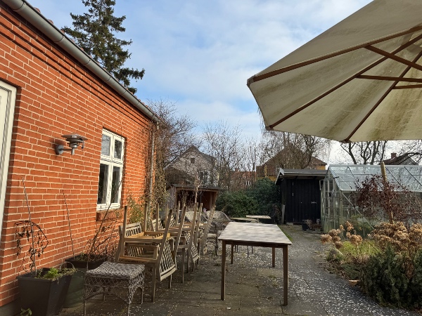 Trimning af 2 æbletræer og beskæring