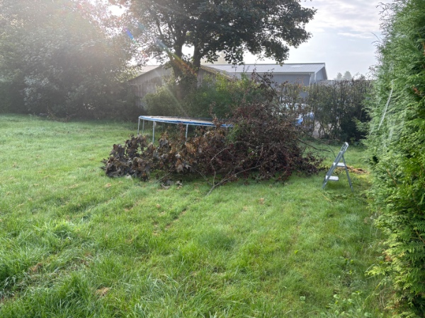 Køre haveaffald væk