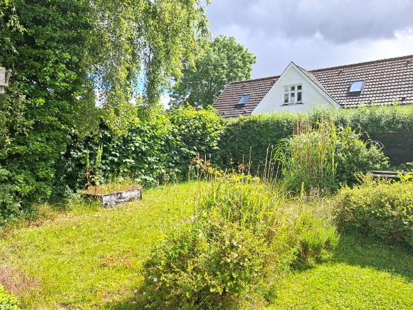 Hækklipning og affaldsbortskaffelse