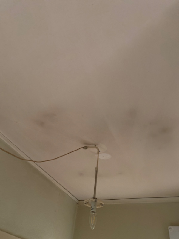 Hængt 2 loftslamper op -1 lille hylde på badeværelse ,samle lille skab til under vask