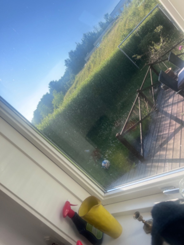 Hækklipning ved rækkehus