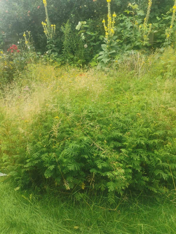 Meget havearbejde med forskellige opgaver