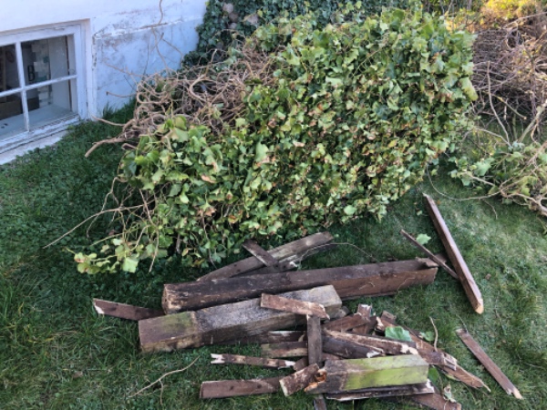 Afhentning af haveaffald