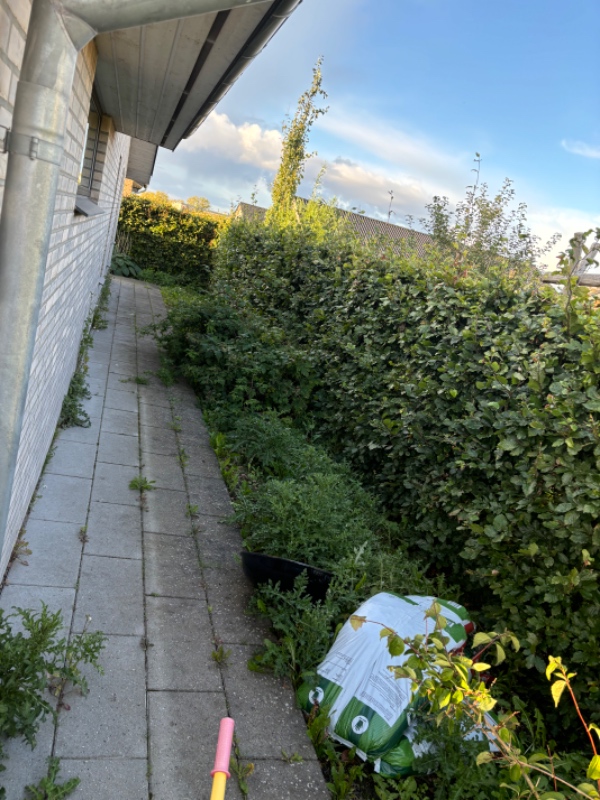 Ukrudt og hække klip bl.a