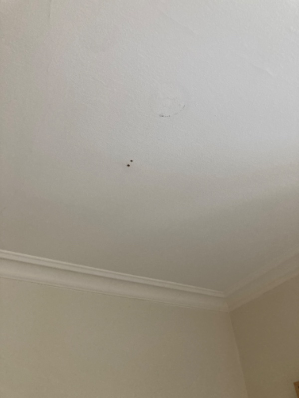 Ophæng af lampe og fjernsyn