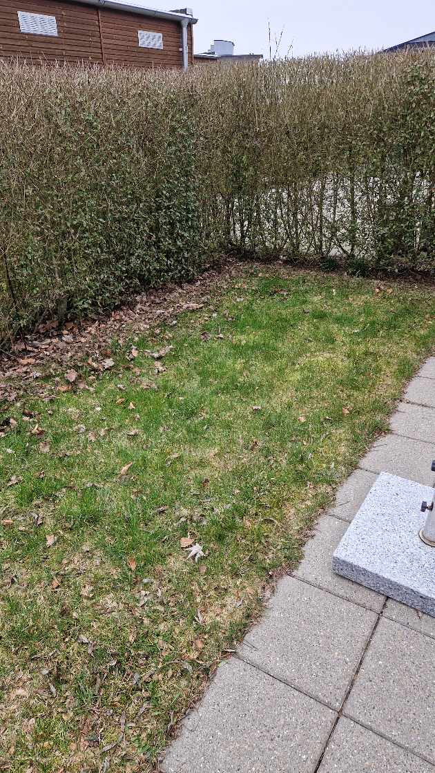 græsplæne 8² m skal graves op og der skal lægges 18 stk. fliser 30x 30 cm.