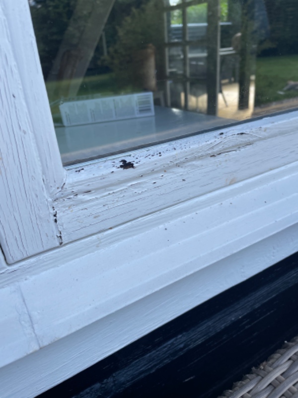 Udskiftning af rådden bundliste/bundstykke i termovindue.