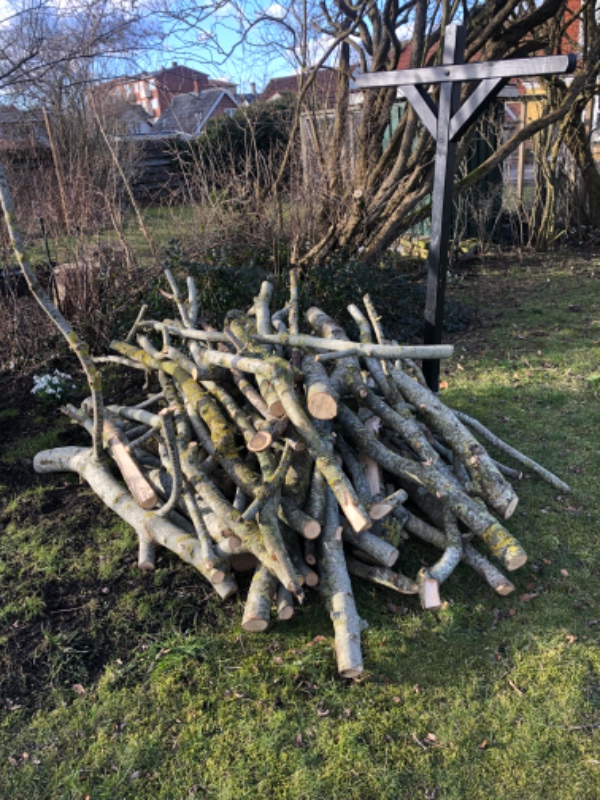 Skære/Save træ til brænde