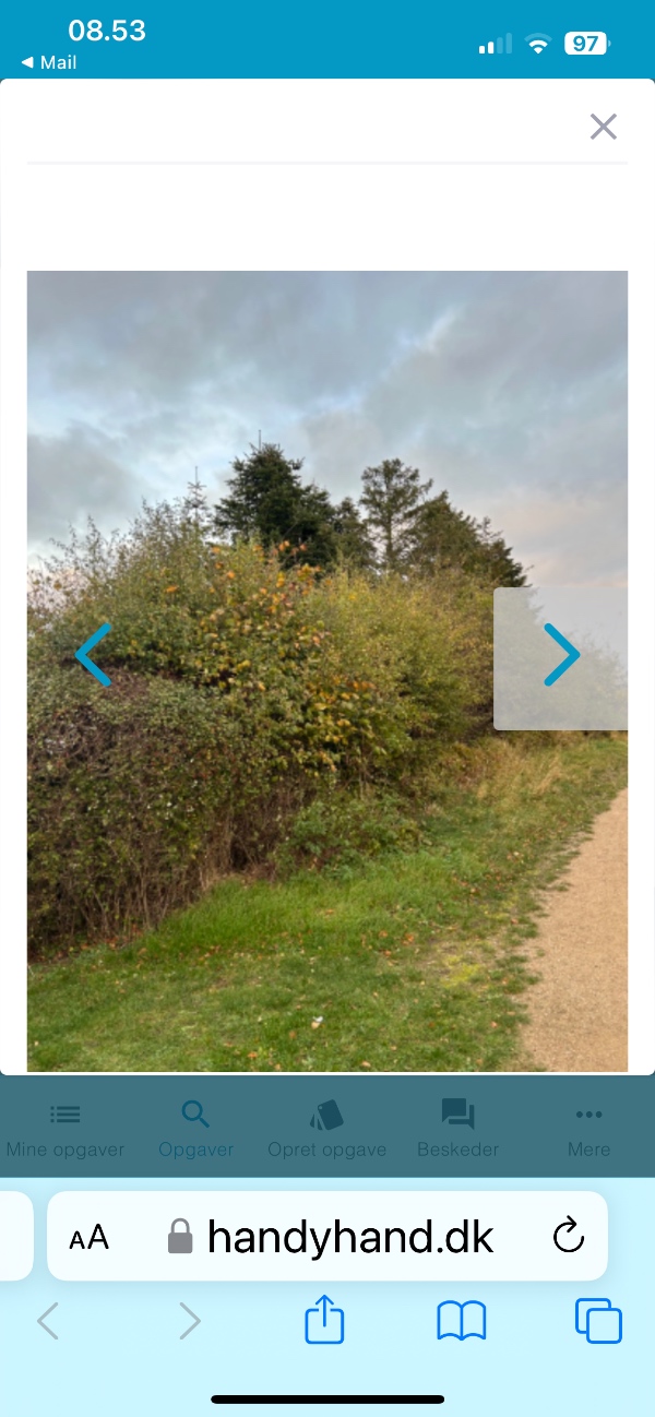 Toppen tages af en hæk på ca. 14 m. samt haveaffald køres væk