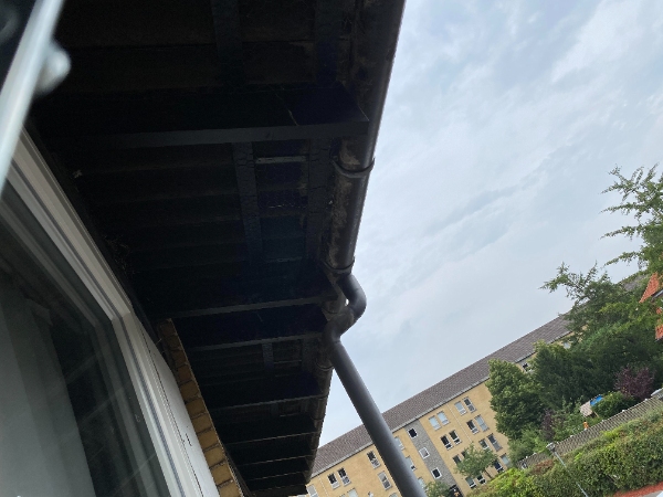 Montering af fuglenet/fuglegitter