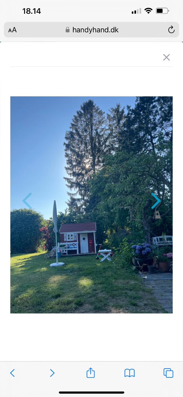 Træfældning af 5 træer