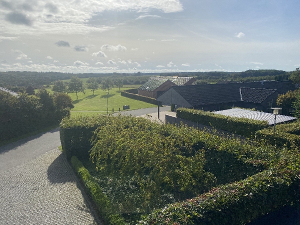 klippet toppen af stor, høj og bred hæk