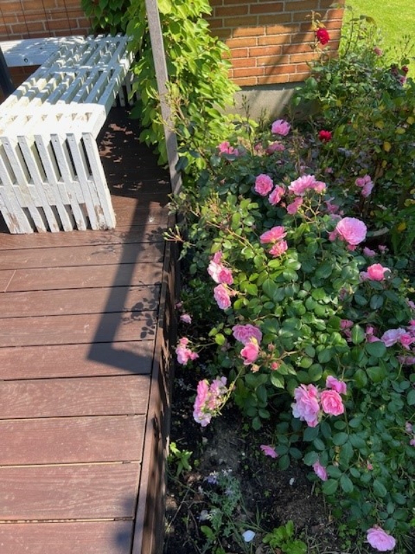 Grave rende langs terrasse