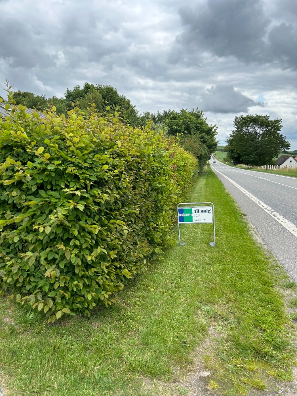 Hækklipning og oprydning