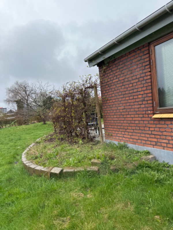 Græs- og blomstersåning