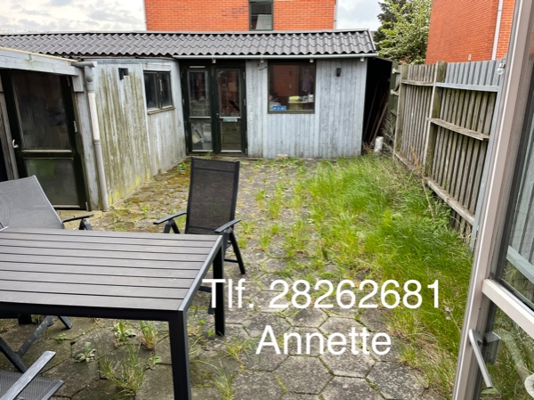 Maling af hegn og skur, og Ukrudt mellem fliser, jævnligt tilbagevendende opgave! Tænker 125,- /t