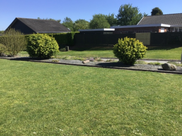 Hækklipning og buskbom-trimning