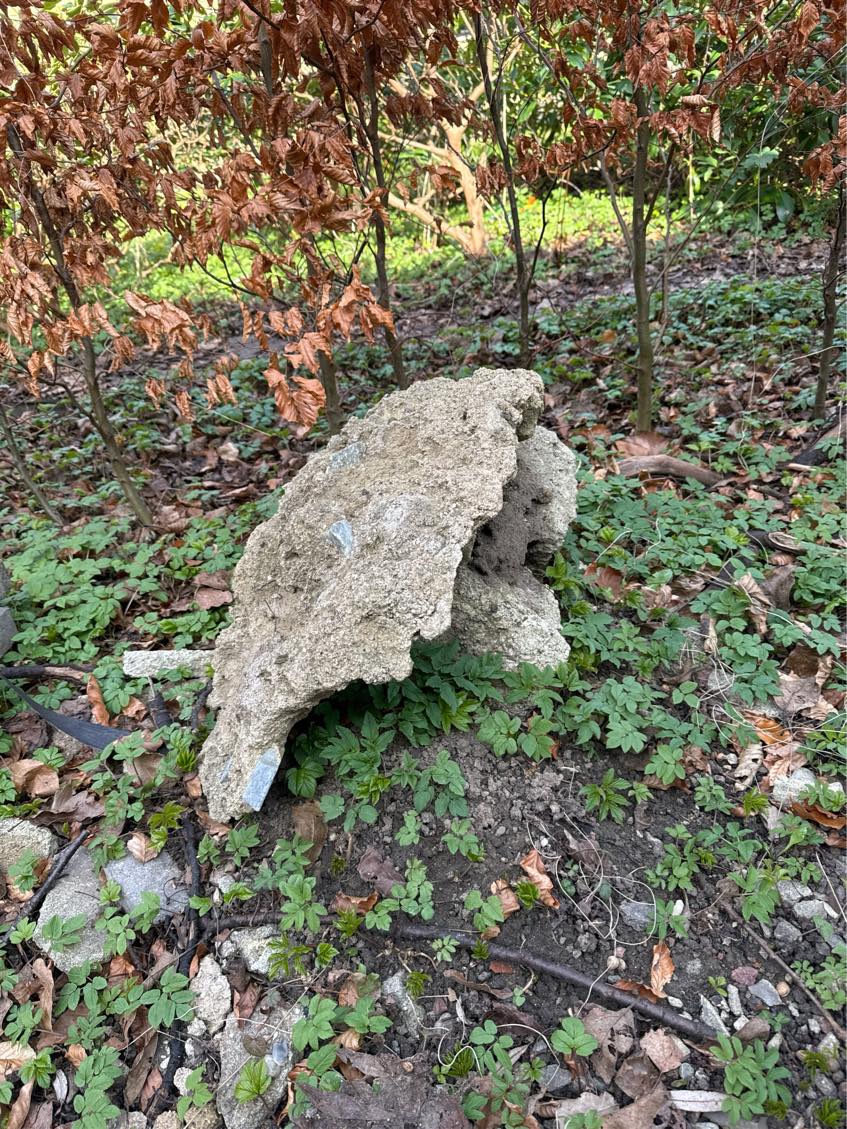 Haveaffald og lidt andet afhentning og bortkørsel