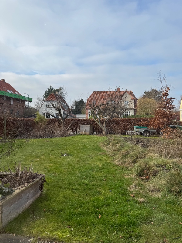 Trimning af 2 æbletræer og beskæring