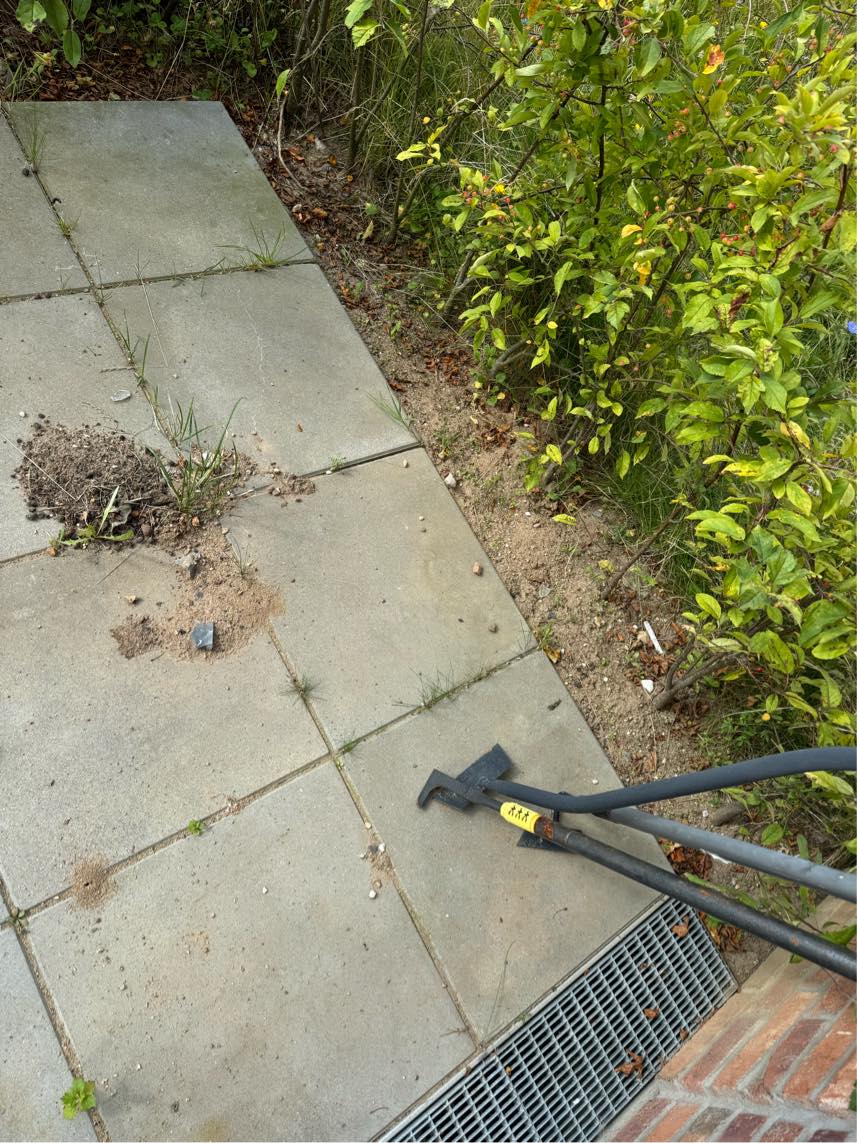 Fjernelse af ukrudt på terrasse