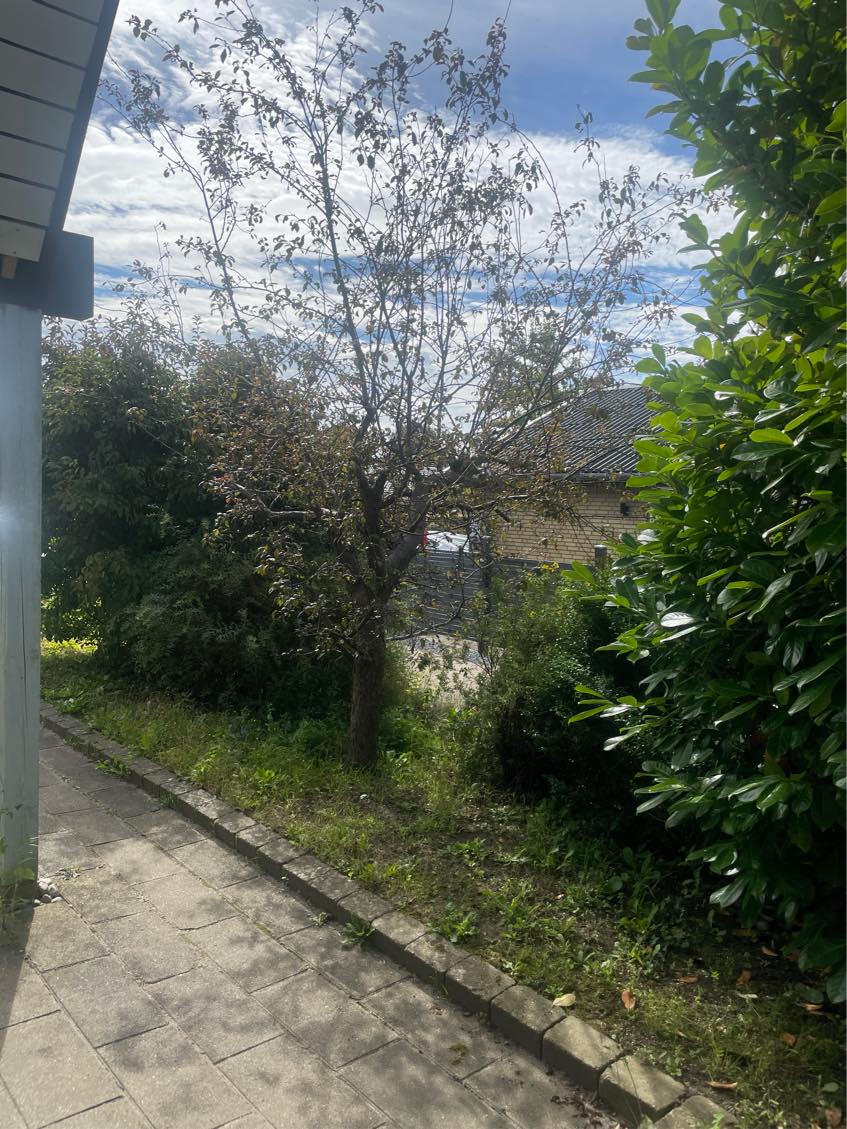 Vedligeholde forhave