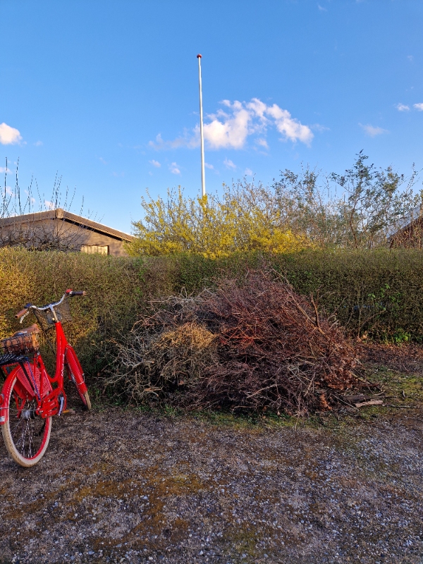 Afhentet grene/hæk-afklip