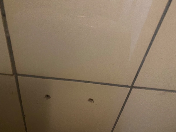 Opfriskning af fliser på badeværelse (fuger, fliser og evt. malearbejde)