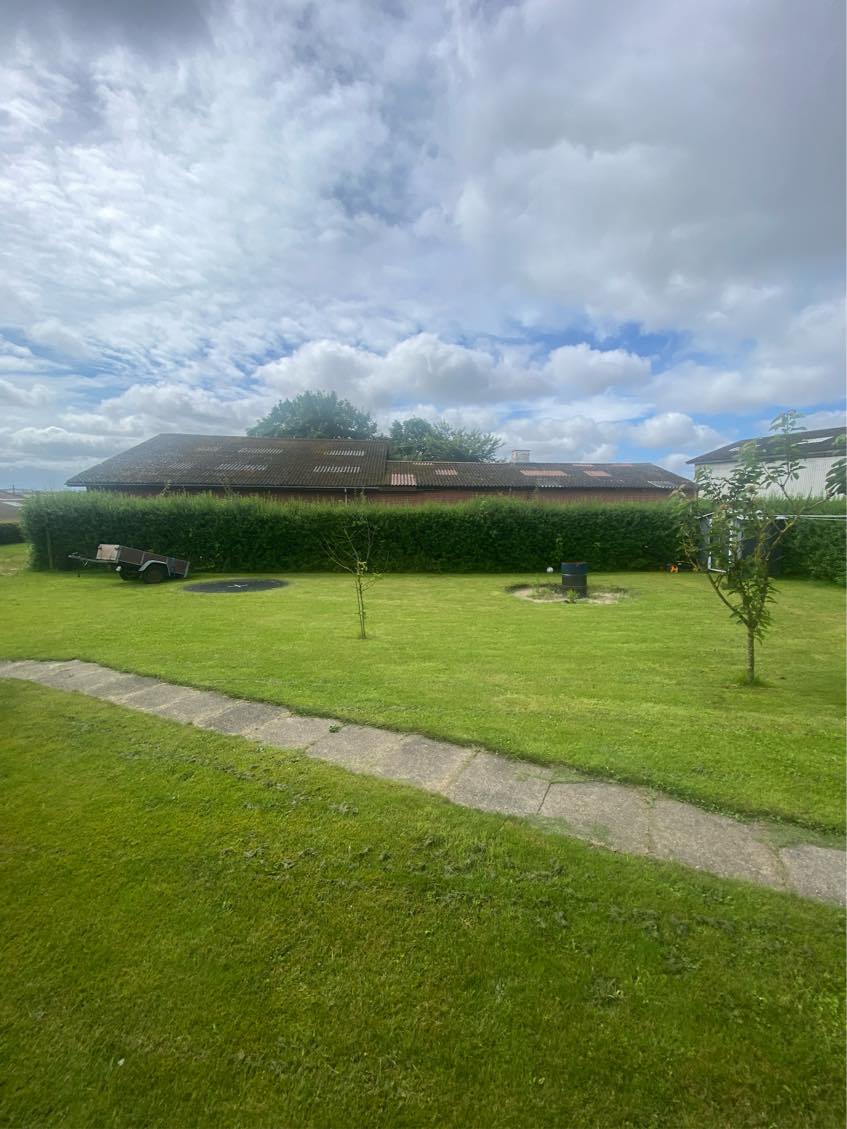 Havearbejde - hækklipning 60 m