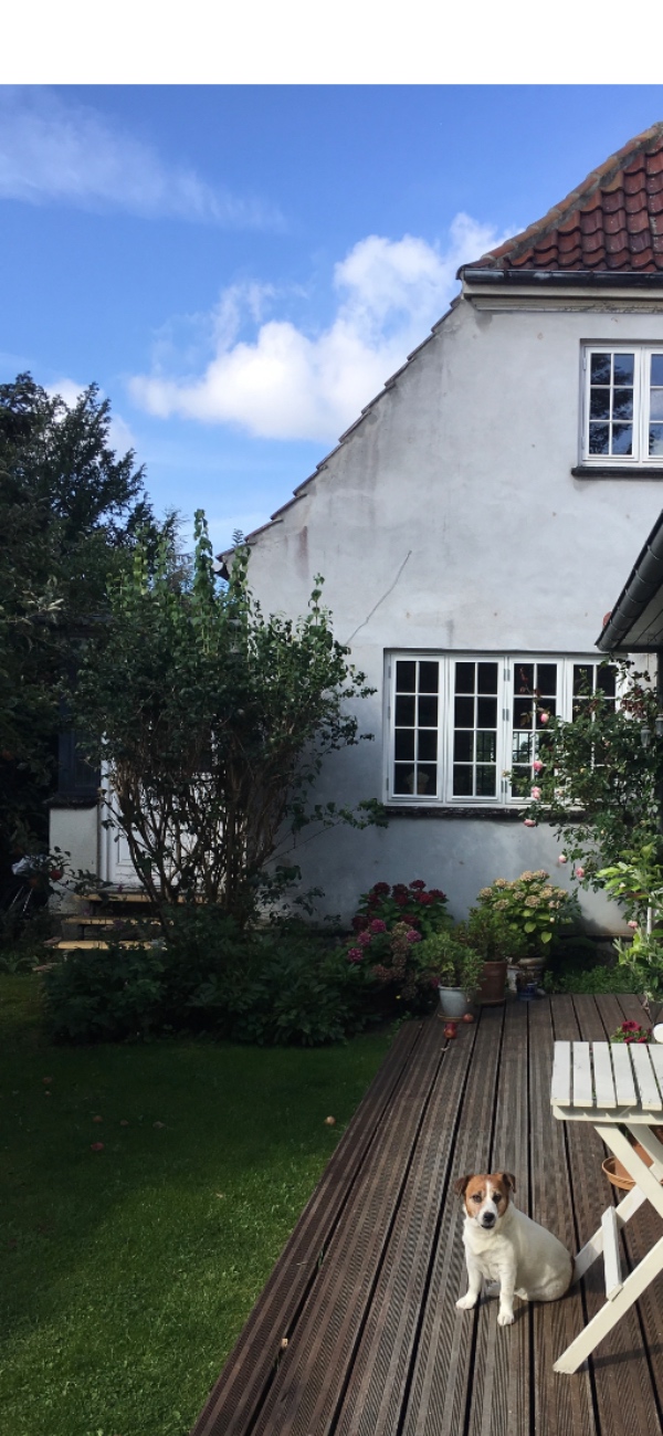 Bortskaffelse af tungt løbebånd og en sofa