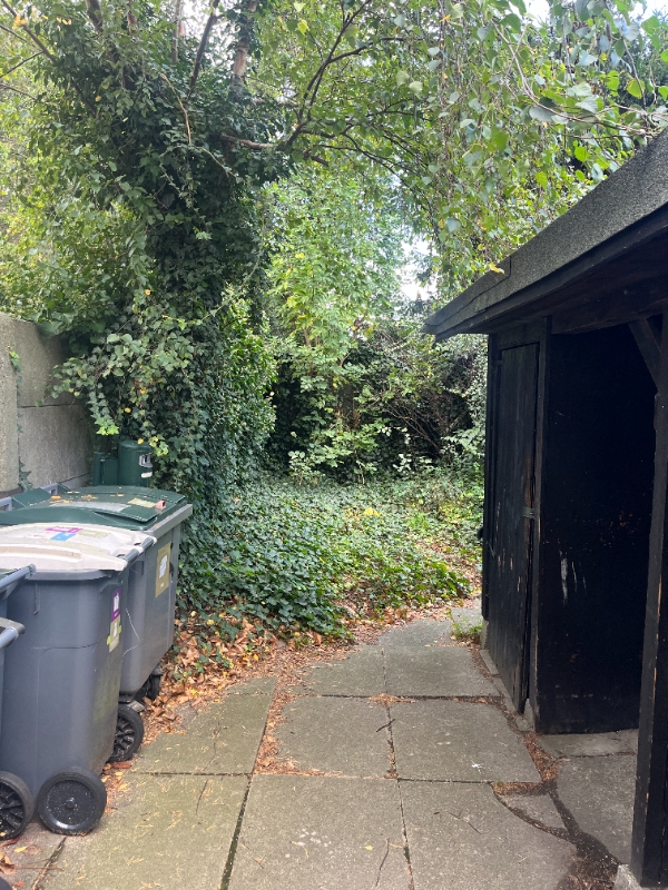 Nivellering af jord-område + lægning af fliser