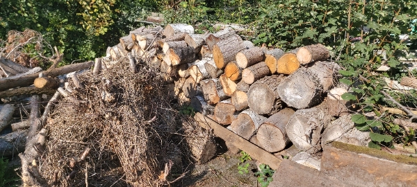 Opskæring og kløvning af stammer til brænde