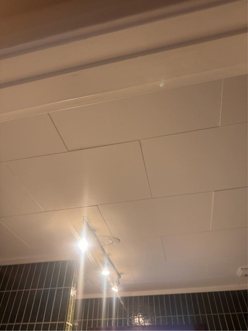 Gipsloft i stue og på toilet/bad