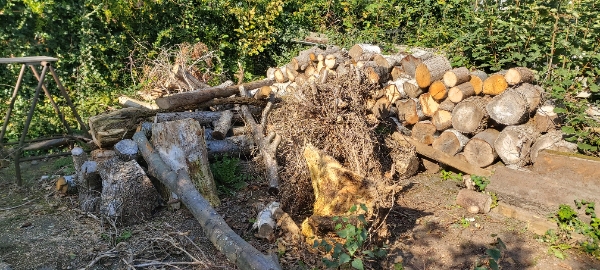 Opskæring og kløvning af stammer til brænde