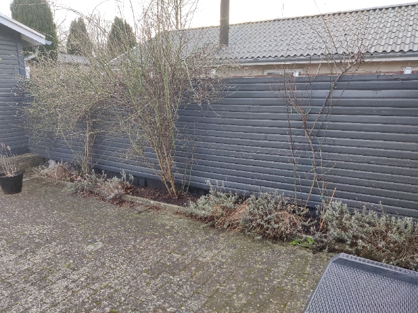 Renovering af 7 m dobbelt hegn, sikkert kun en side