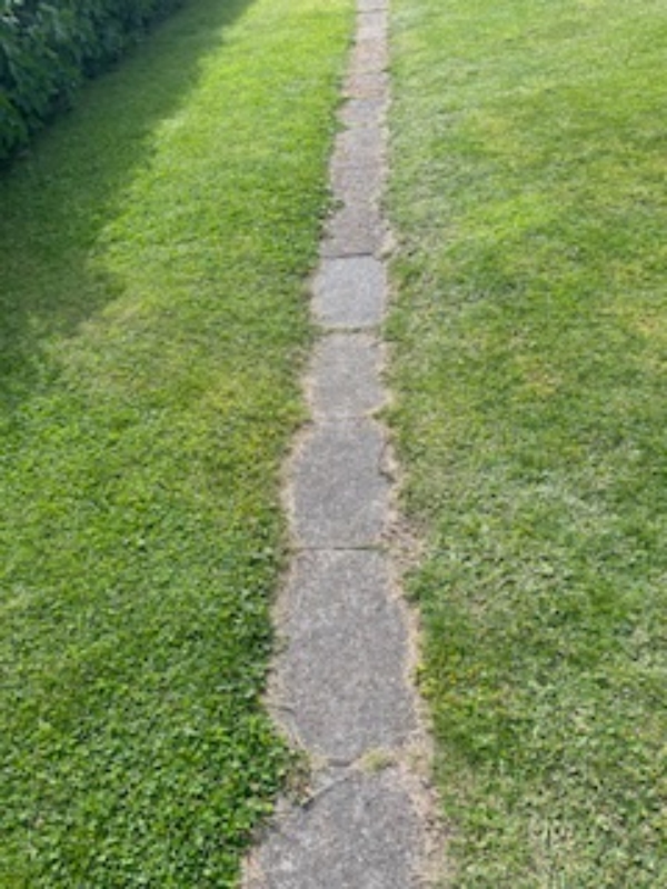 Fliser optagning og nedlægning