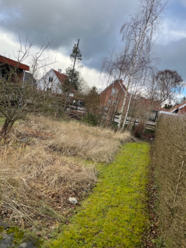 Have klargøring og beskæring