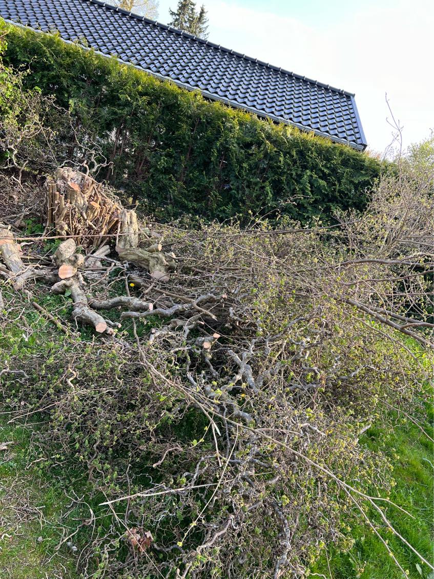 Kør haveaffald og profilbrædder på genbrugspladsen