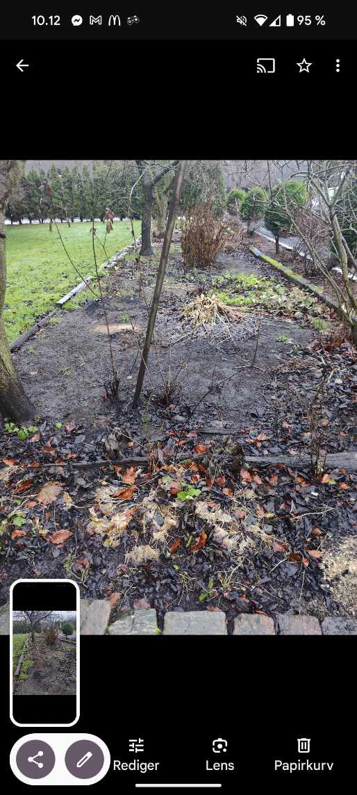 Vinterklargøring af bed