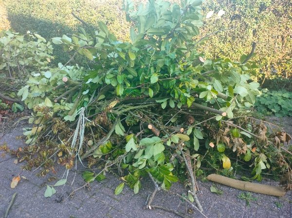 Afhentning af 6 bunker haveaffald.