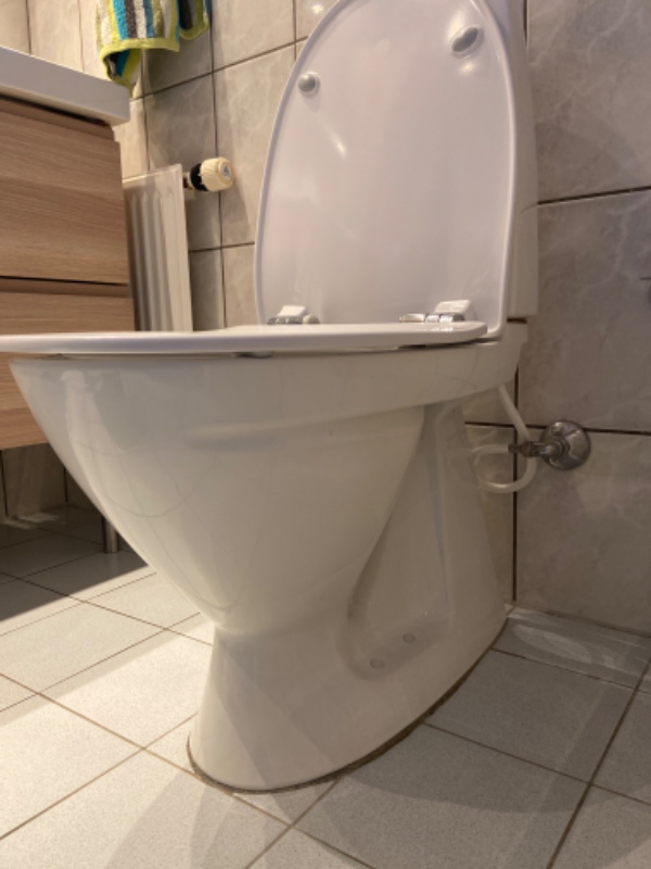 VVS - toilet udskiftes