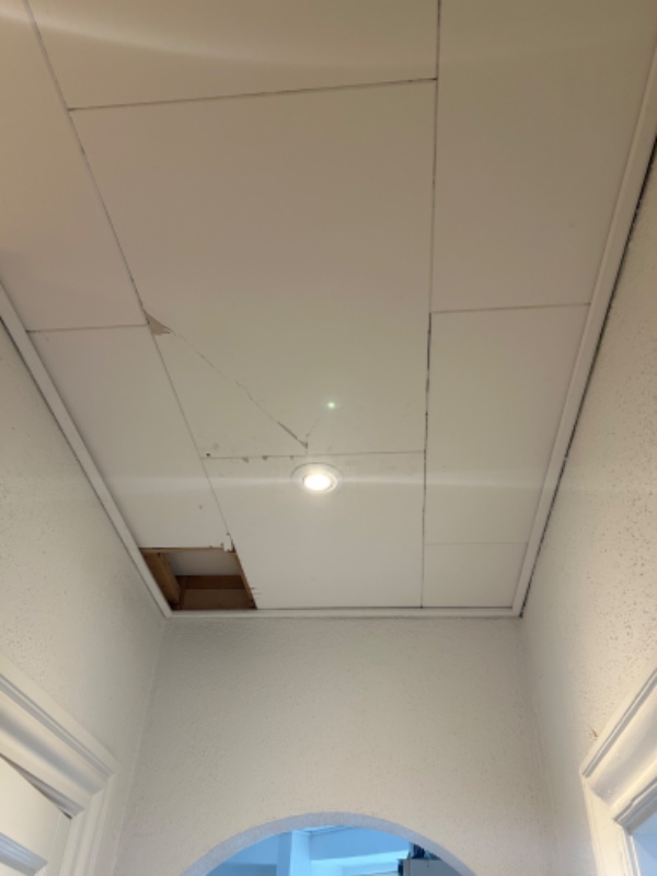 Loftplader - sænket loft