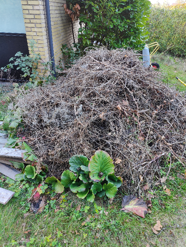 Fjernelse af byggeaffald og haveaffald