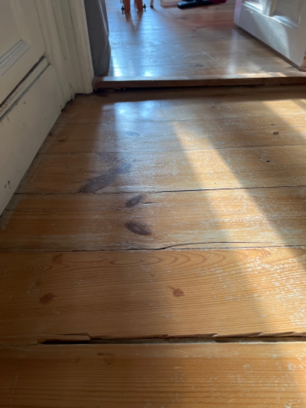 Nye træ gulve
