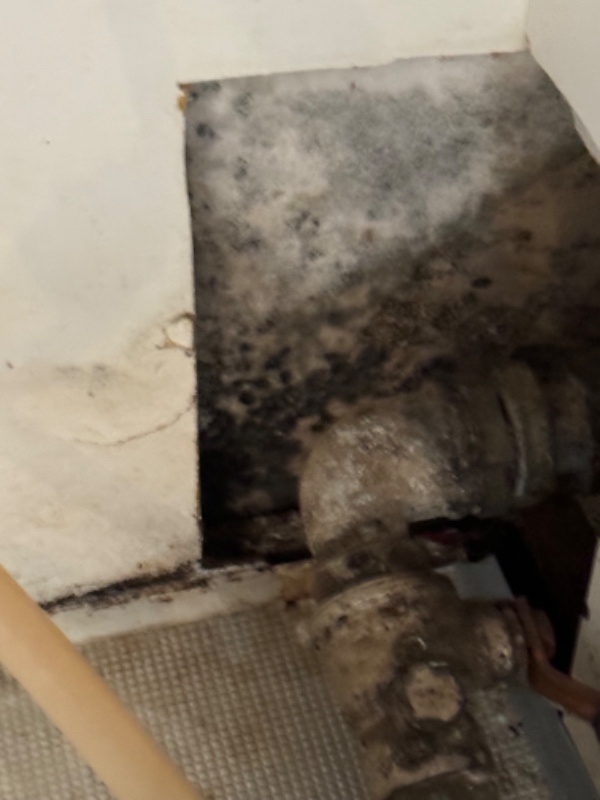 Tætning af utæt afløbsrør