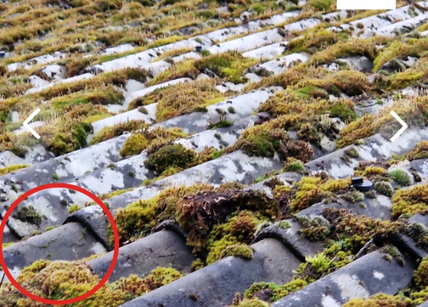 Fjernelse af eternittag med asbest på sommerhus