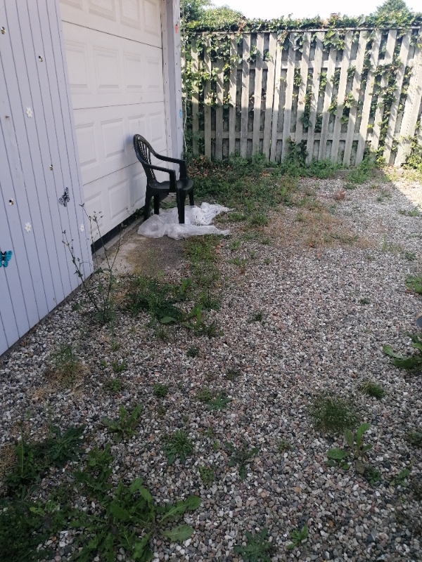 Klippe hæk og fjerne ukrudt