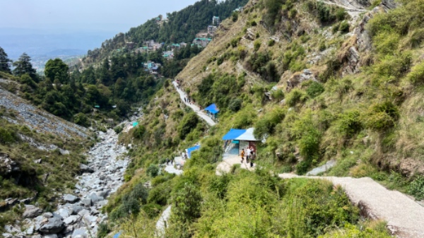 Bær gaskomfur til storskrald