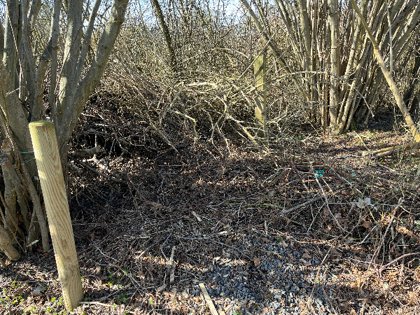 Afhentning af haveaffald