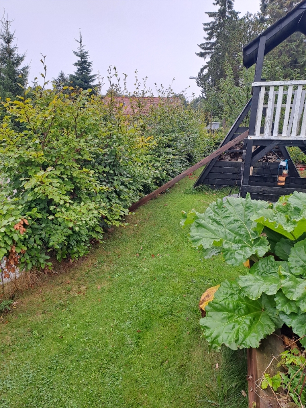 Ukrudt fjernelse og hæk klipning